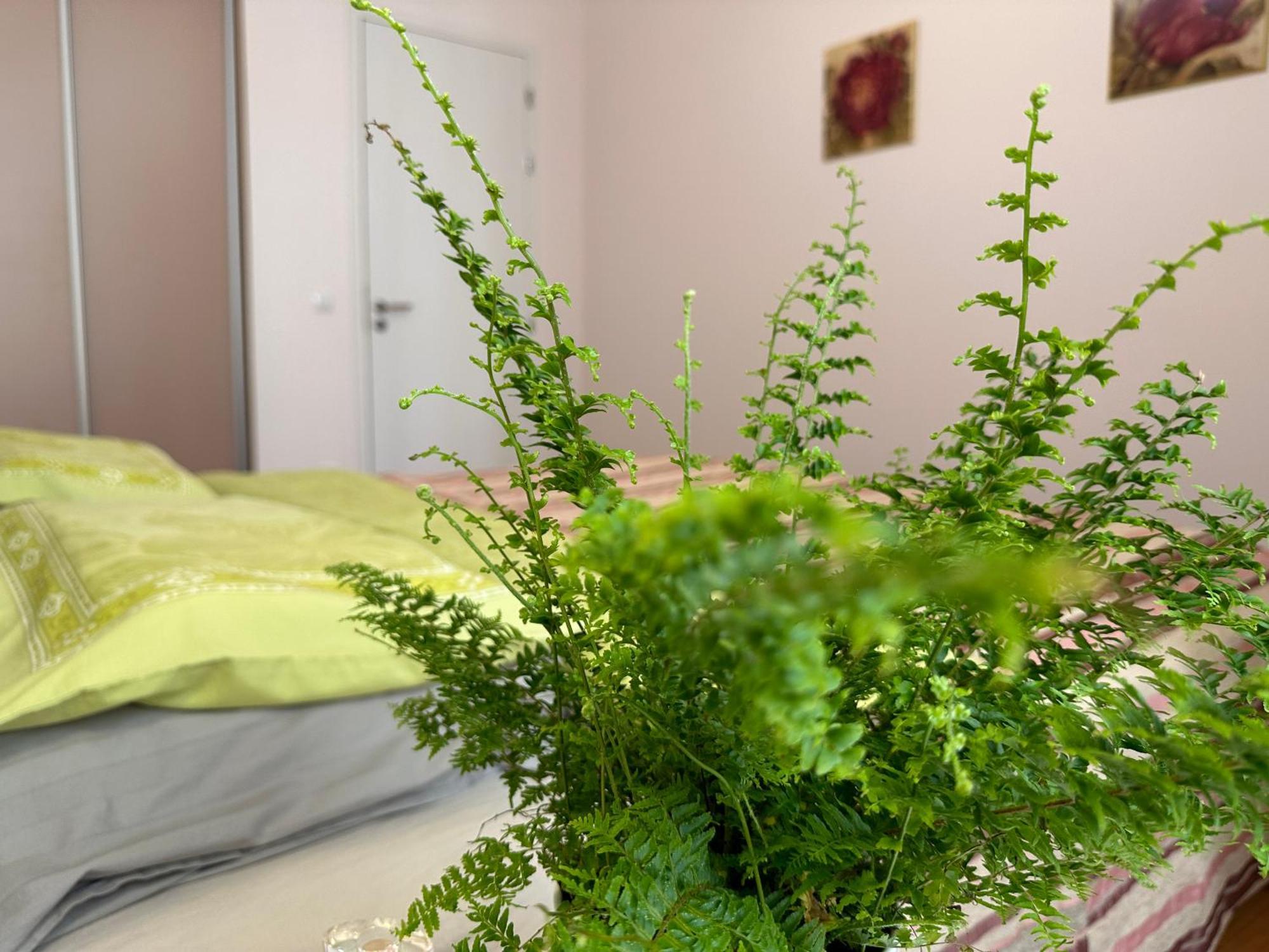 Marienbad Center Apartment Luaran gambar