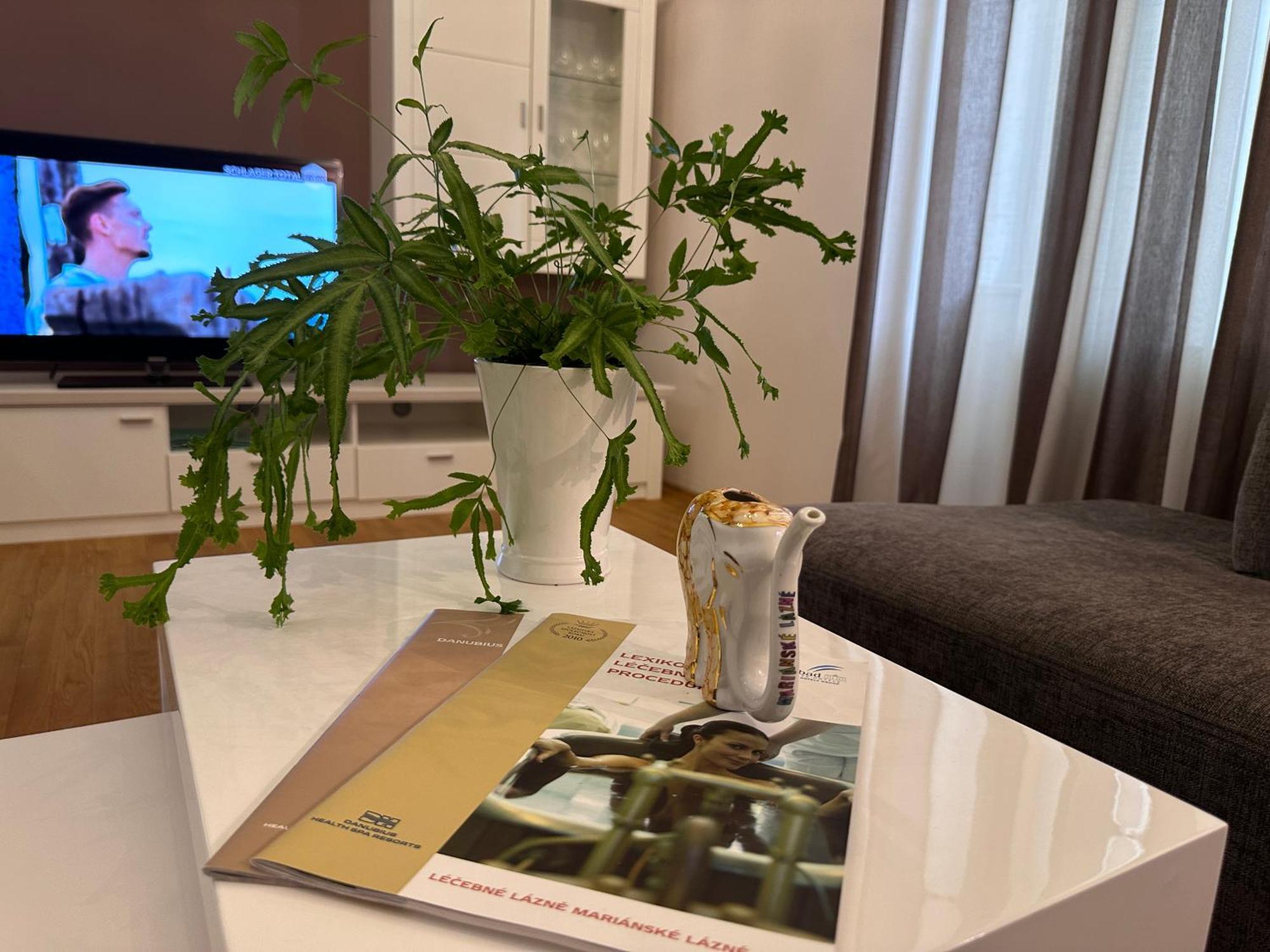 Marienbad Center Apartment Luaran gambar